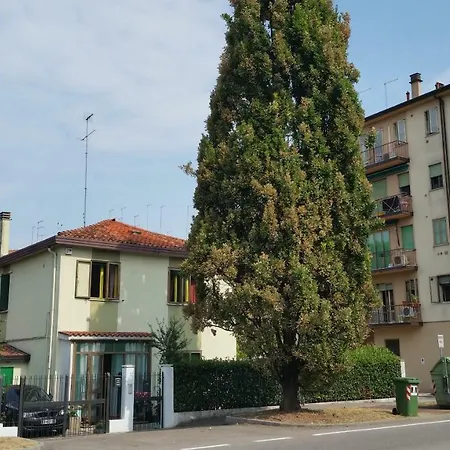 Ever Green-2