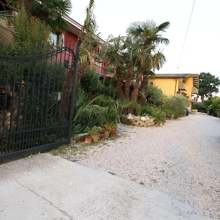 B&B Le Palme D'Oro-2