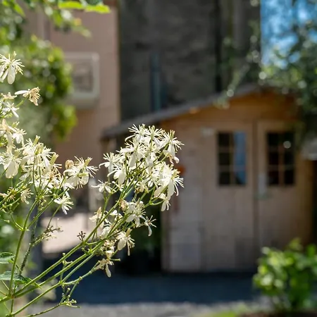 B&B La Chicca-2