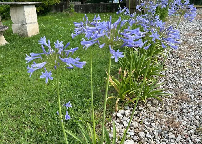B&B Il Mio Casale Colà
