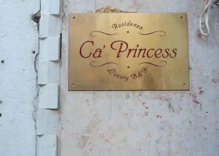 Ca' Princess Venedig